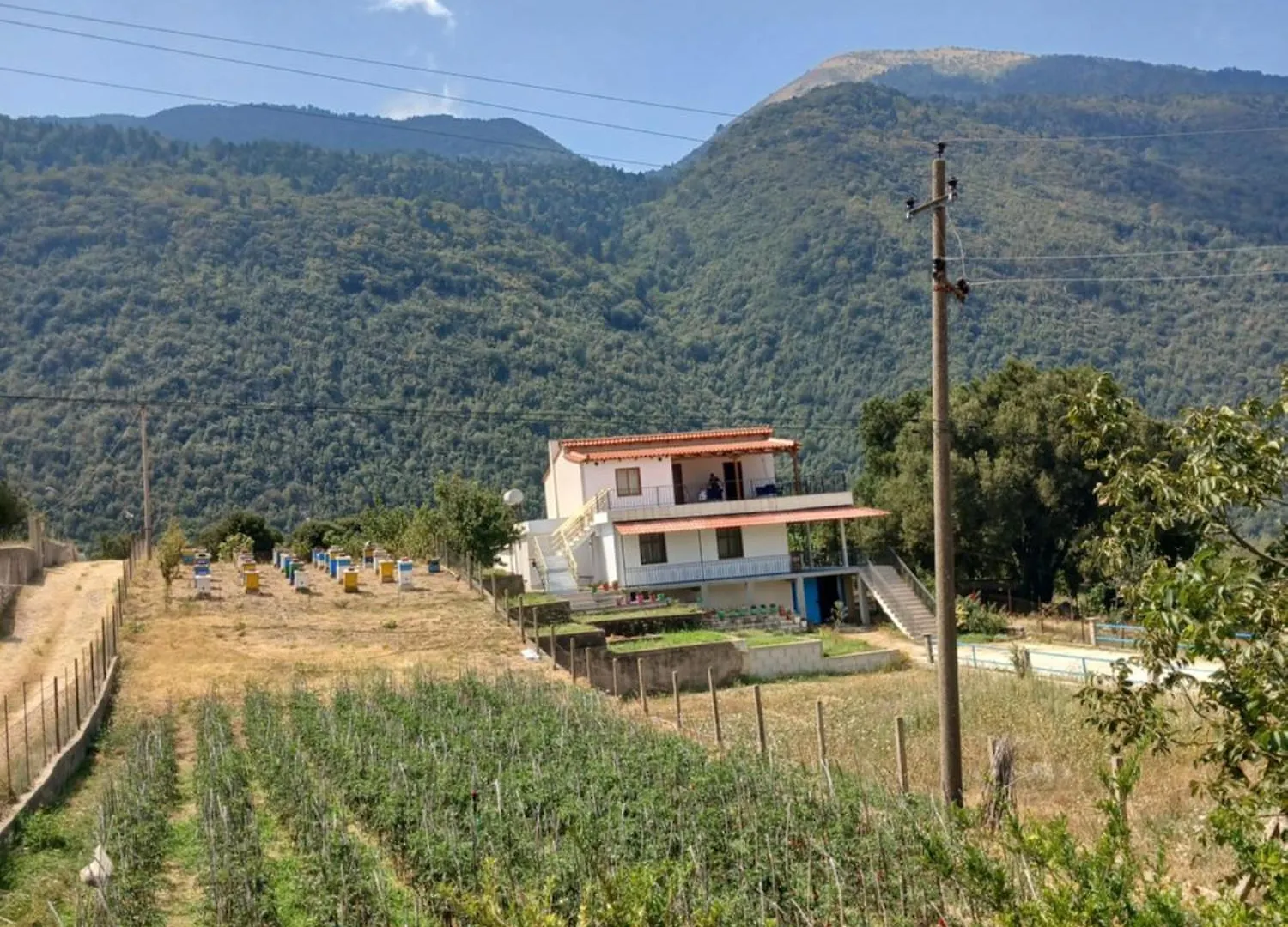 Ari'S Cozy Rooms, Llogara Nicaj-Shale