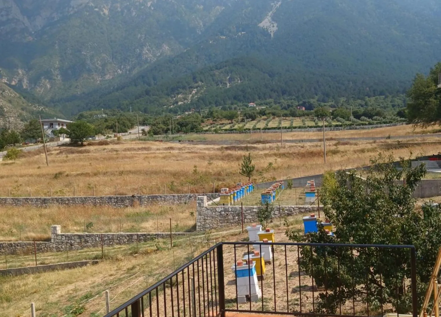 Guest house Ari'S Cozy Rooms, Llogara Nicaj-Shale